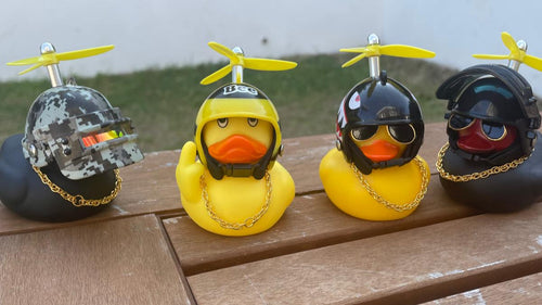 mystery duck