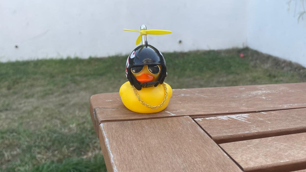 mystery duck