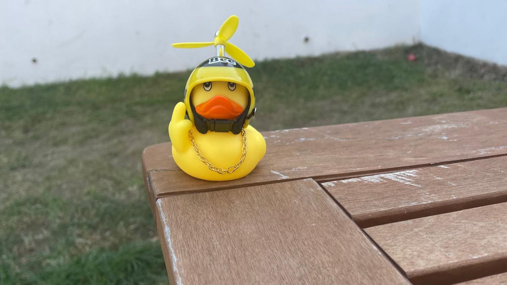 mystery duck