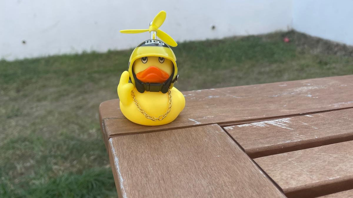 mystery duck