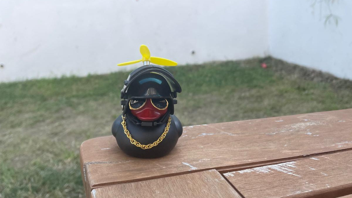 mystery duck